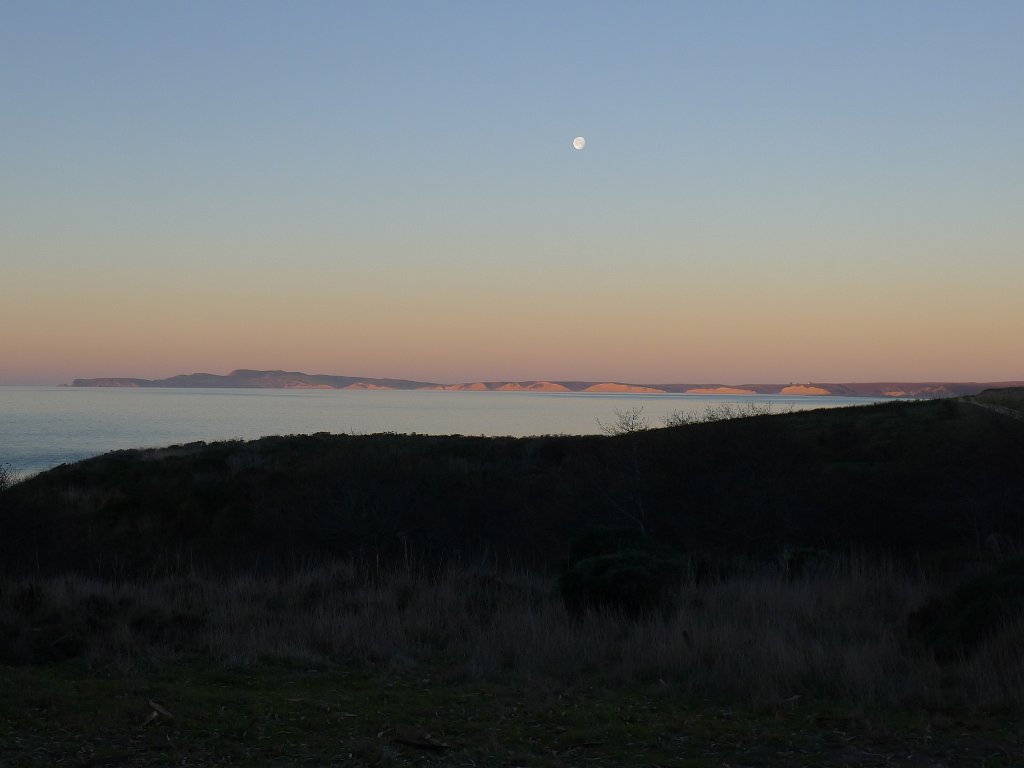 2014-01-17 PointReyesCamping 105